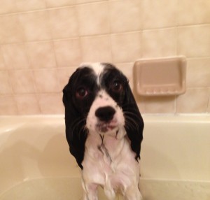Must you photograph me in the tub?
